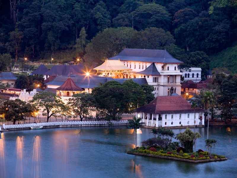 Kandy Dalalda Maligawa udawalawe Elephats in one dae udawawalwe tour