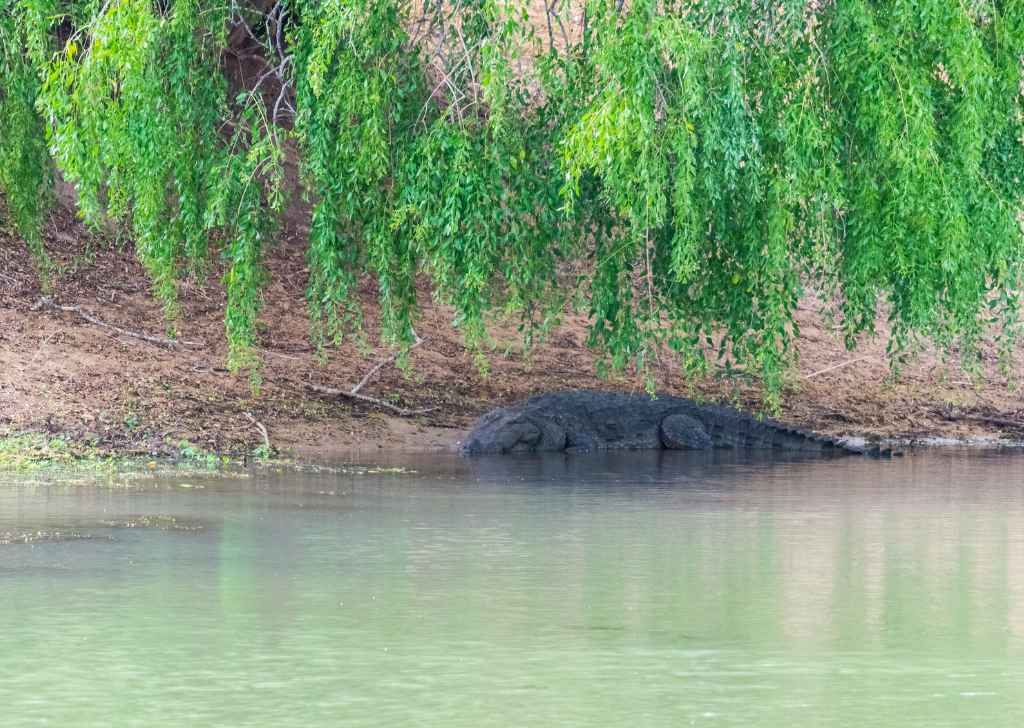 Yala Safari Sri Lanka